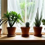 **

*   **Prompt:** A collection of potted plants, some succulents and some tropical, arranged on a table in front of a window with sheer curtains. Focus on showing the different watering needs of each plant type, with some plants lightly watered and others heavily watered.

**