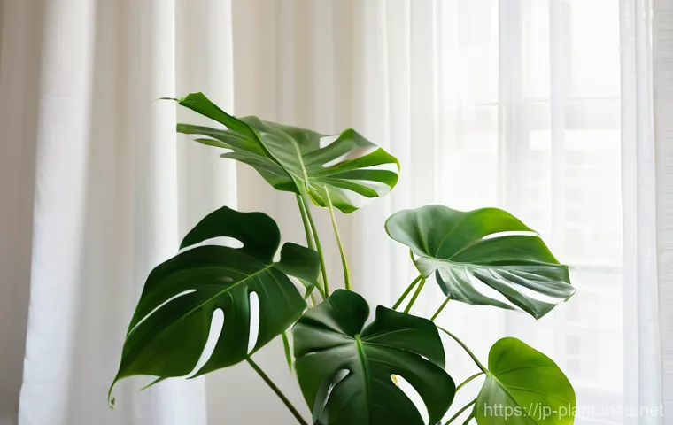 반려식물 감성 촬영법 - Prompt 1: Golden Hour Radiance of a Houseplant** 반려식물 감성 촬영법 - Prompt 1: Golden Hour Radiance of a Houseplant**