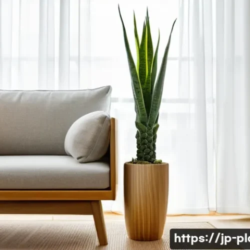 산세베리아 공기정화 효과 - A modern Japanese-style living room featuring a stylish Sansevieria plant with sharp, upright leaves...