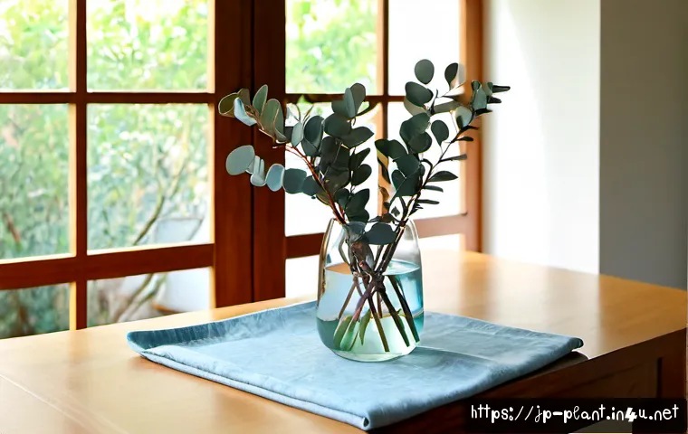유칼립투스 키우기 및 활용법 관련 이미지 1