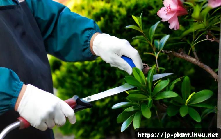 철쭉 키우기 및 가지치기 요령 - Photorealistic close-up of an adult gardener carefully pruning a healthy pink azalea shrub with clea...